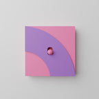 Switches Pop Up Arch Single