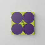 Switches Pop Up Circles Single