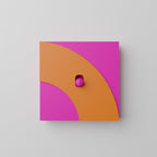 Switches Pop Up Arch Single
